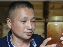 乘“蜂”破浪 脫貧致富